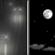 Tonight: Slight Chance Light Rain then Mostly Clear